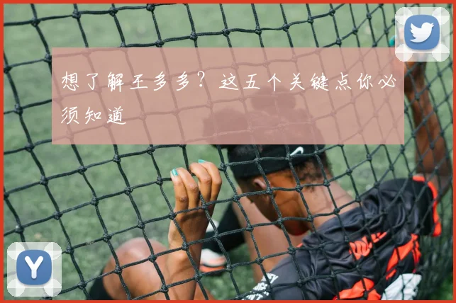 想了解王多多？这五个关键点你必须知道