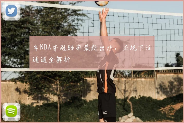 年NBA夺冠赔率最新出炉,正规下注通道全解析