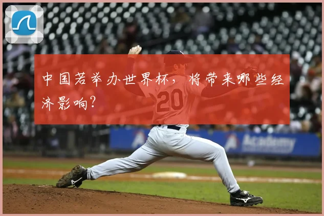 中国若举办世界杯,将带来哪些经济影响?